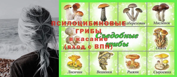 PSILOCYBIN Бородино